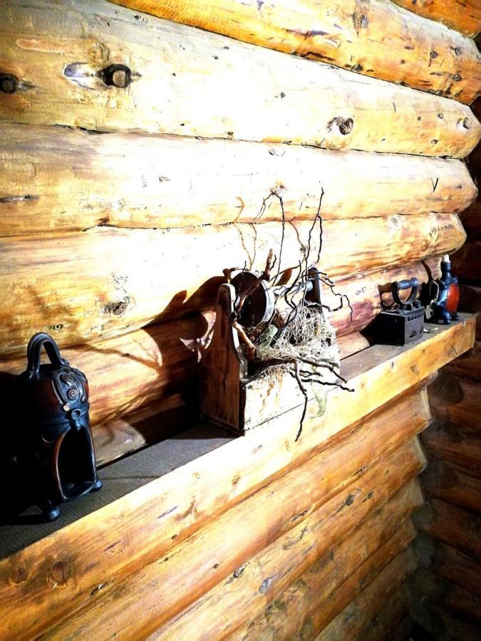 Cabana Rustic Balea Cîrţişoara Εξωτερικό φωτογραφία