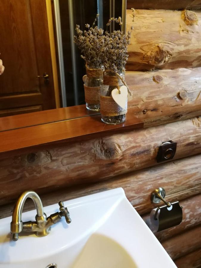 Cabana Rustic Balea Cîrţişoara Εξωτερικό φωτογραφία