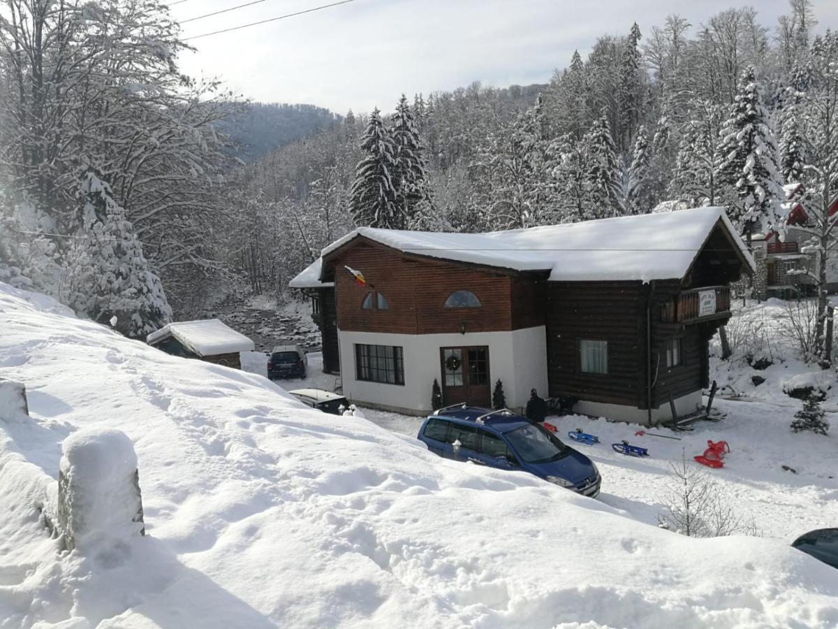 Cabana Rustic Balea Cîrţişoara Εξωτερικό φωτογραφία