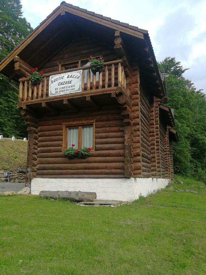 Cabana Rustic Balea Cîrţişoara Εξωτερικό φωτογραφία