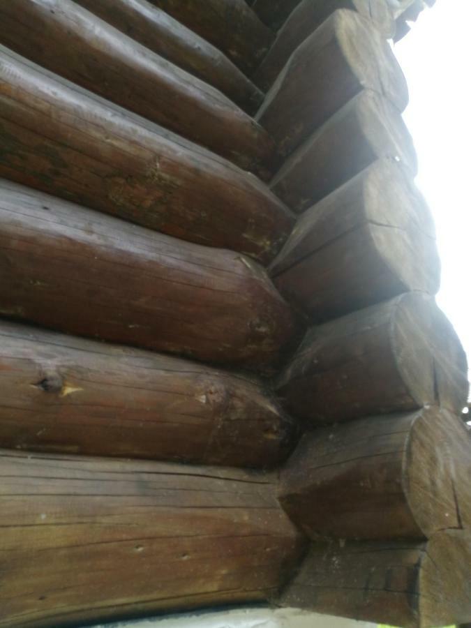 Cabana Rustic Balea Cîrţişoara Εξωτερικό φωτογραφία
