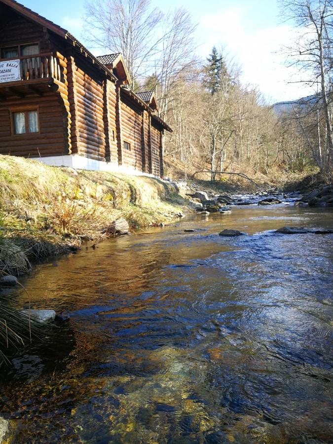 Cabana Rustic Balea Cîrţişoara Εξωτερικό φωτογραφία