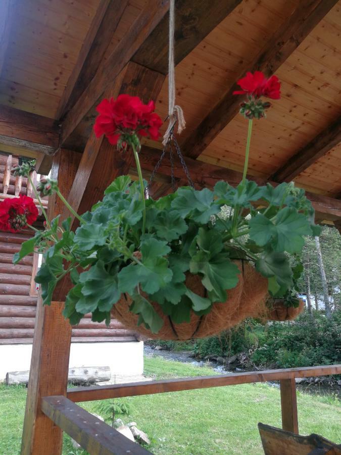Cabana Rustic Balea Cîrţişoara Εξωτερικό φωτογραφία